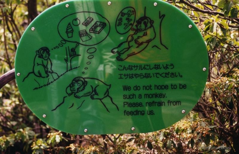 Miyajima Island fat monkey sign